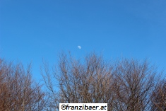 © franzibaer.at